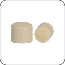 3/4" End Cap CPVC Topline