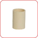 1'' Coupler CPVC Topline