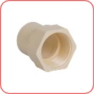 1'' FTA CPVC Topline